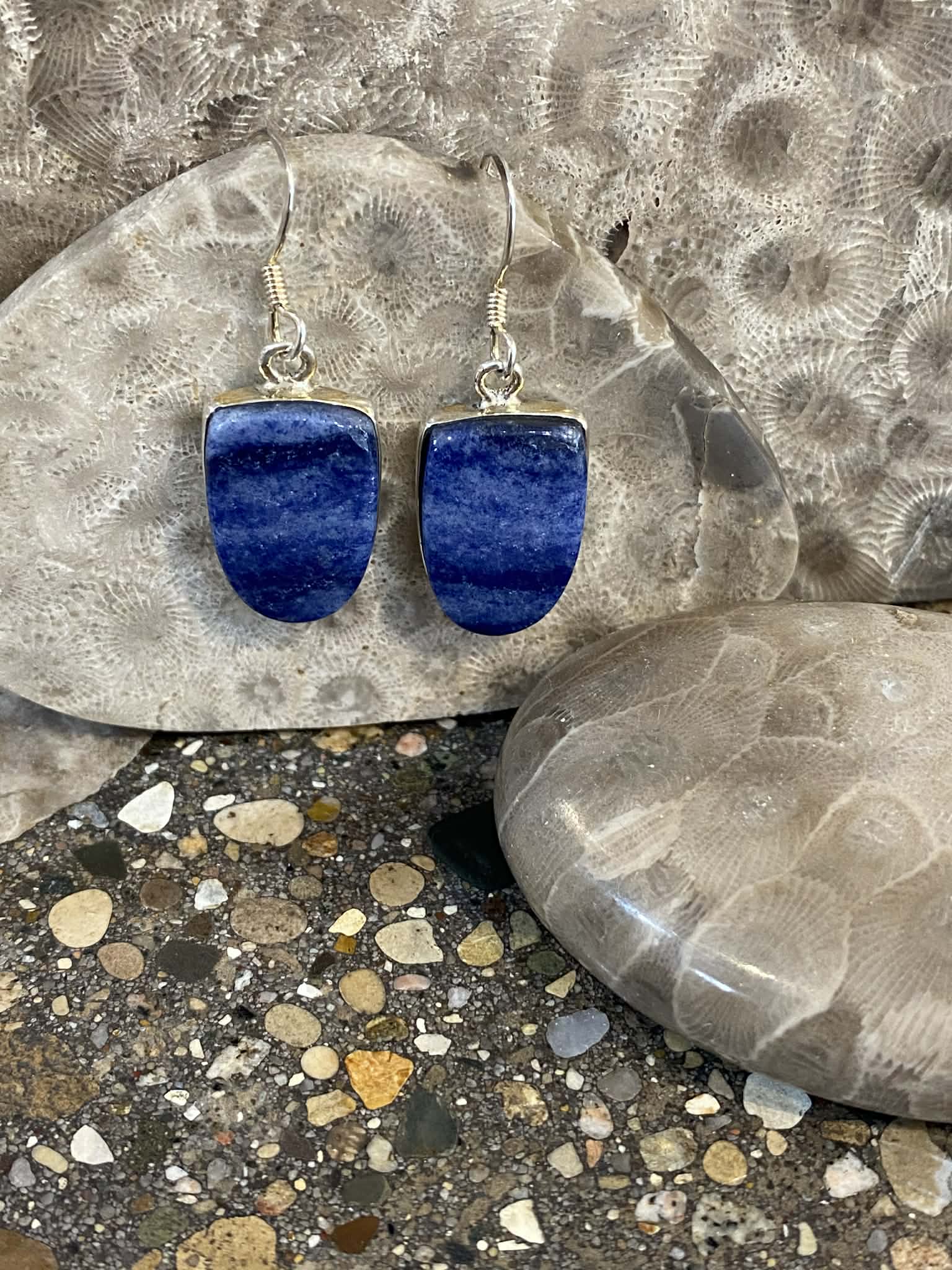 Sodalite Earrings
